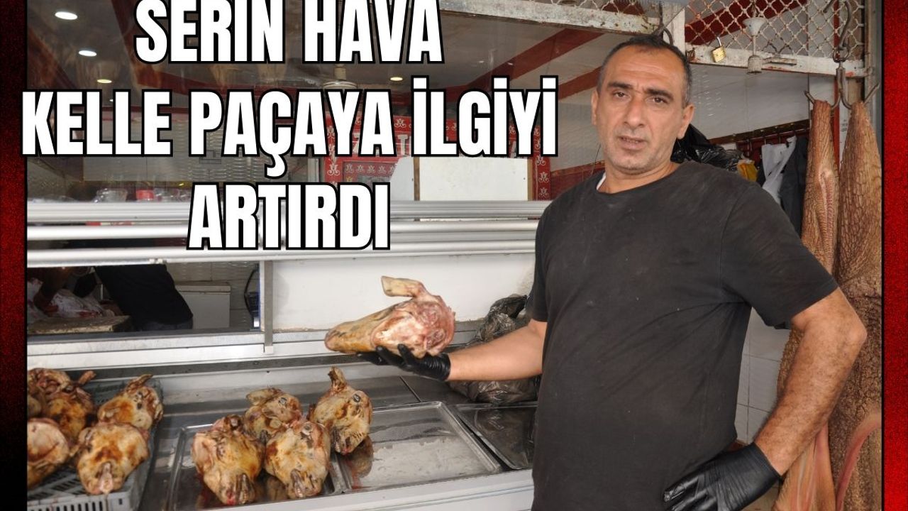 Serin hava kelle paçaya ilgiyi artırdı